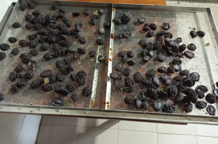 Чорнослив без диму вялений- фото № 6