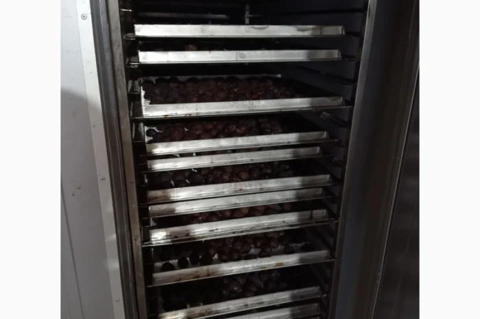 Чорнослив без диму вялений- фото № 7