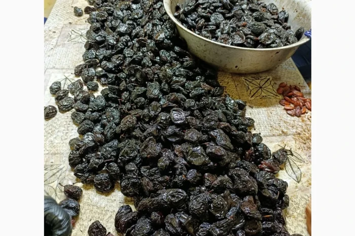 Продам чорнослив- фото № 4