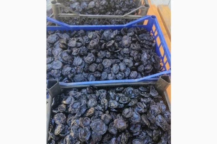 Продам чорнослив без кісточки- фото № 1