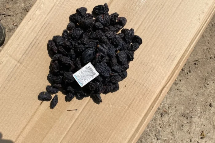 Пропонується в’ялений чернослив з кісточкою- фото № 2