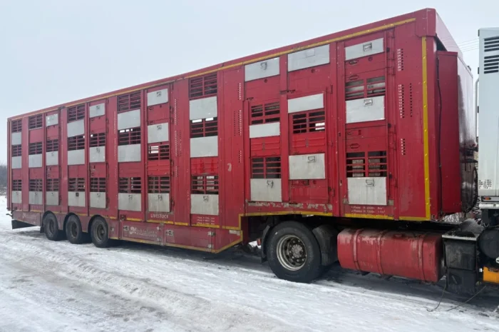 Послуги скотовоза для перевезення худоби- фото № 2
