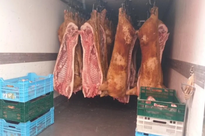 Бойня ТОВ «МʼясОпТорг» закуповує свиней та свиноматки- фото № 2