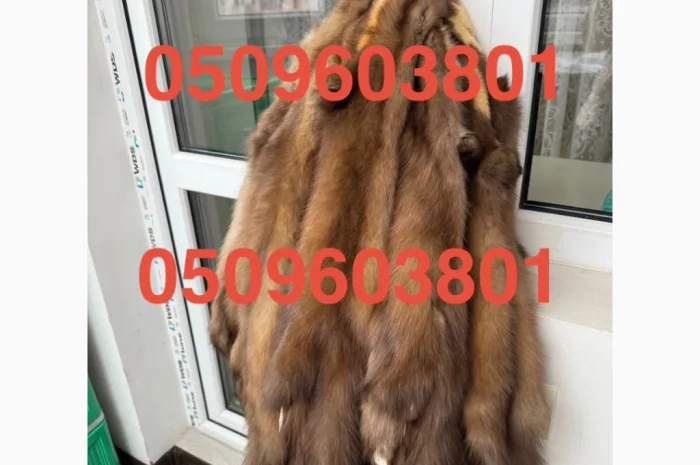 Куплю шкурки куньих, лисьих, норковых и других животных- фото № 1