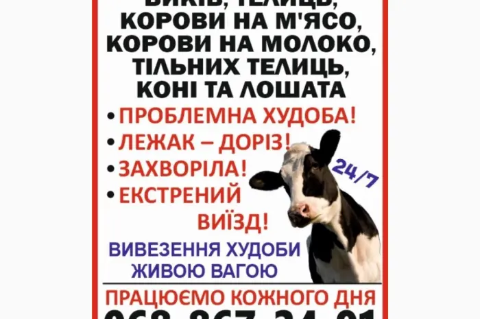 Заготовка ВРХ и лошадей- фото № 1