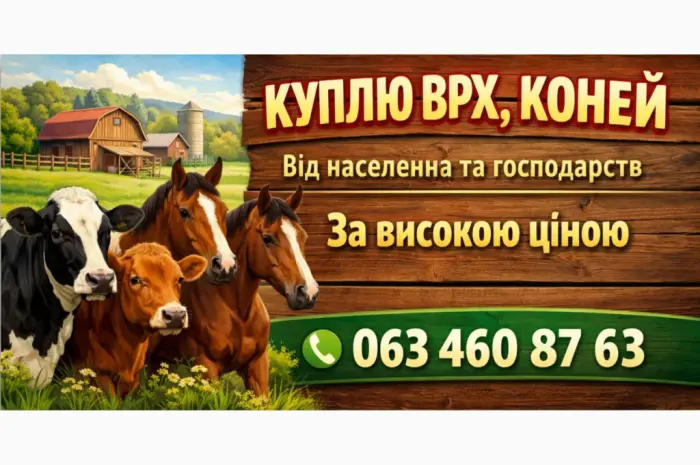 Куплю Бики- фото № 1
