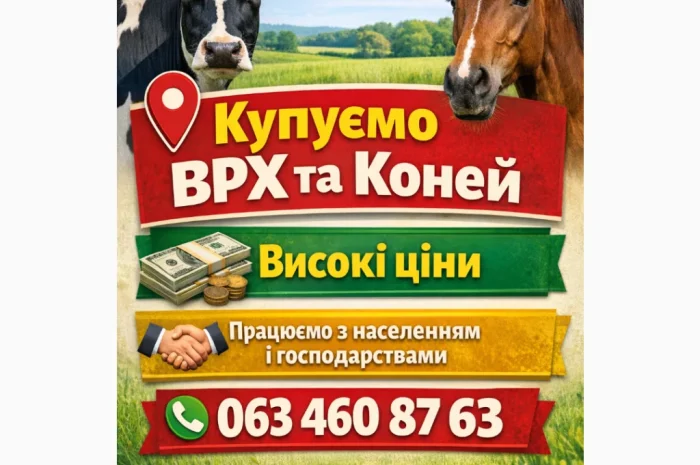 Купую ВРХ та коней за вигідною ціною- фото № 1