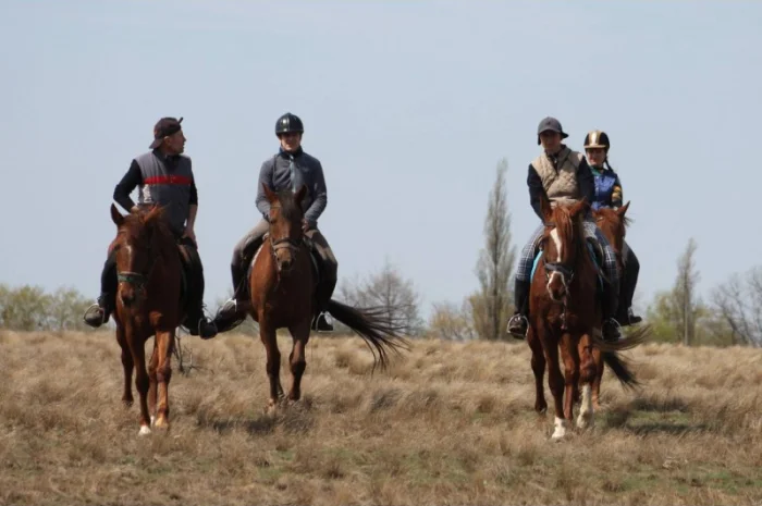 Денники для ваших коней в оренду- фото № 1