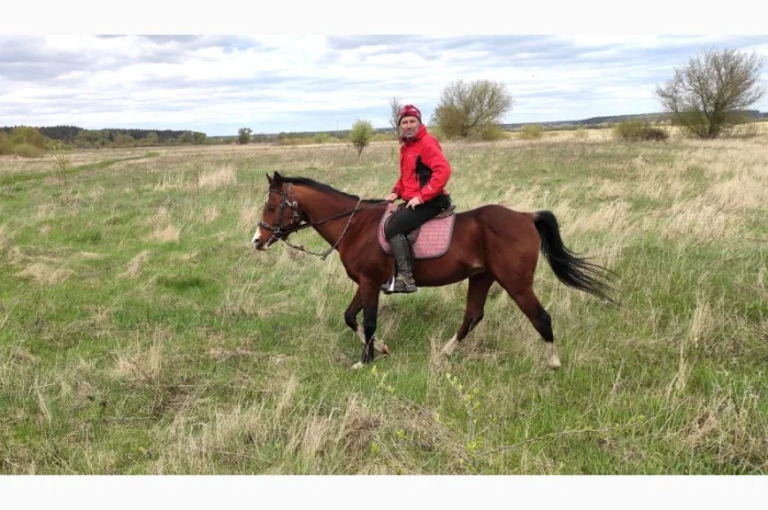 Денники для ваших коней в оренду- фото № 2