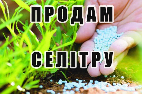 Пропоную добрива Селітра- фото № 1