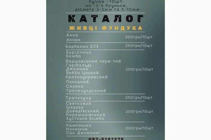 Живцы фундука для окулировки: два размера- фото № 2