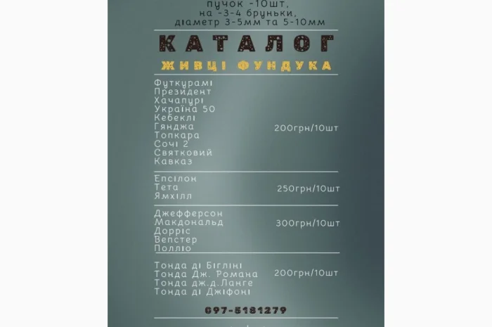 Живцы фундука для окулировки: два размера- фото № 3