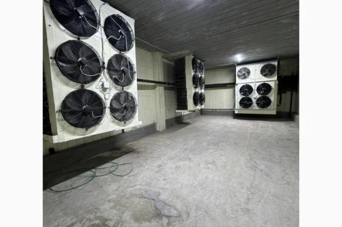 Продается или сдается в аренду холодильное помещение для хранения мясной продукции и ягод- фото № 2