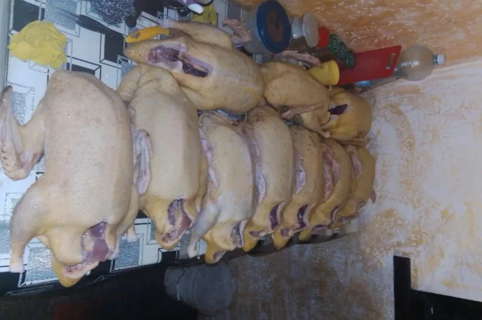 Качки домашні продам- фото № 3