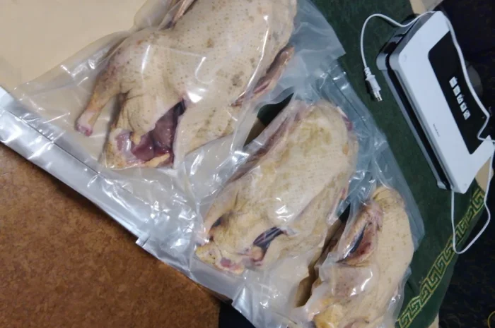 Качки домашні продам- фото № 6