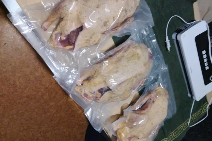 Качки домашні продам- фото № 7