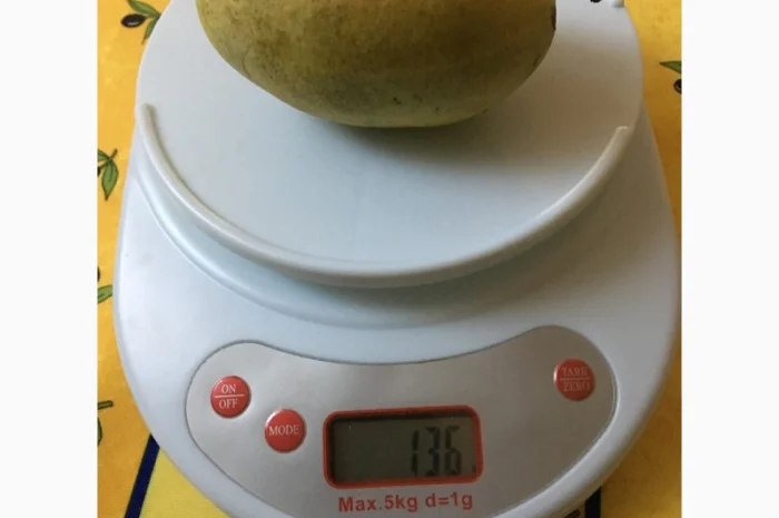 Азимина (банановое дерево) с подарком семян- фото № 2