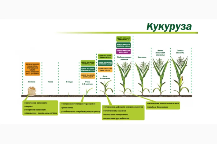 Микроудобрение КДМПР «Мальхам» марки Комплекс в продаже- фото № 5
