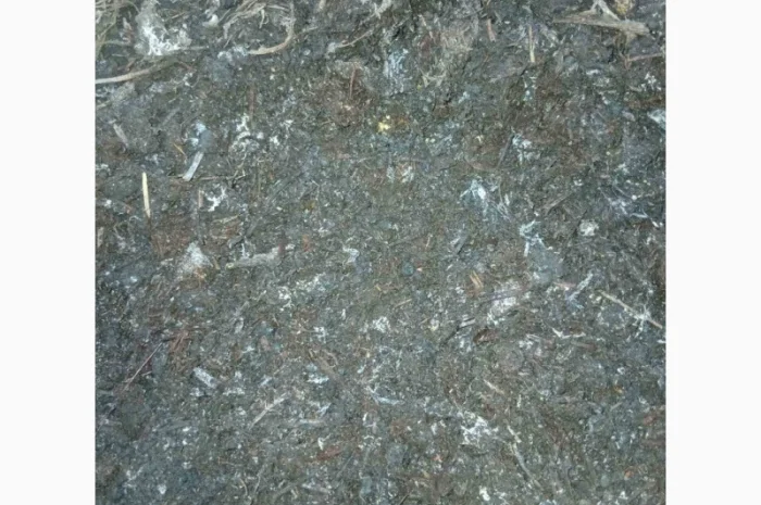 Куриный гной – органическое удобрение- фото № 3