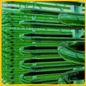 Хлорелла суспензия - зеленое золото- фото № 2