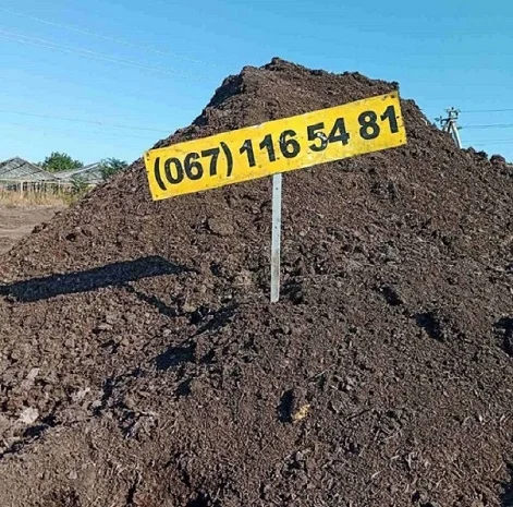 Доставка сипця по Одесі та області недорого- фото № 1