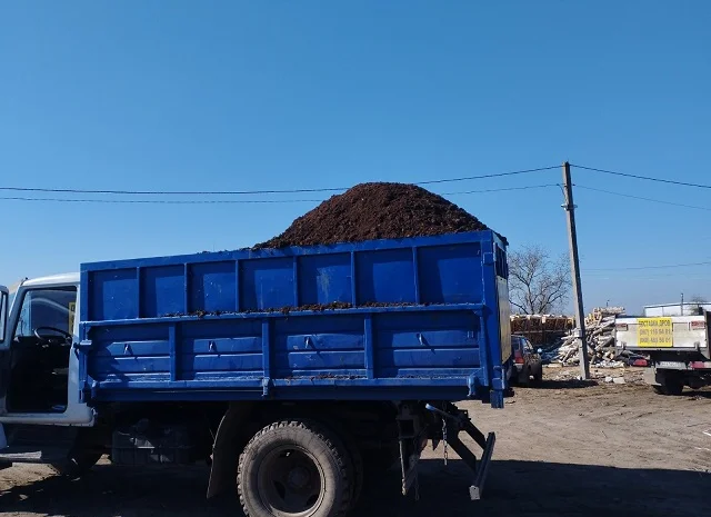 Продам сипець- фото № 1