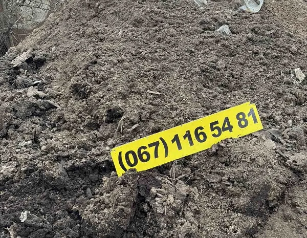 Продам сипець- фото № 2