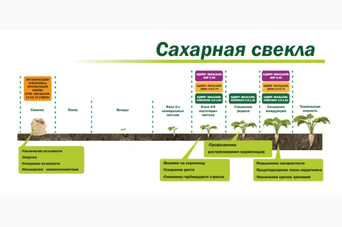 Органическое средство от сорняков «Глюмикрон»- фото № 3