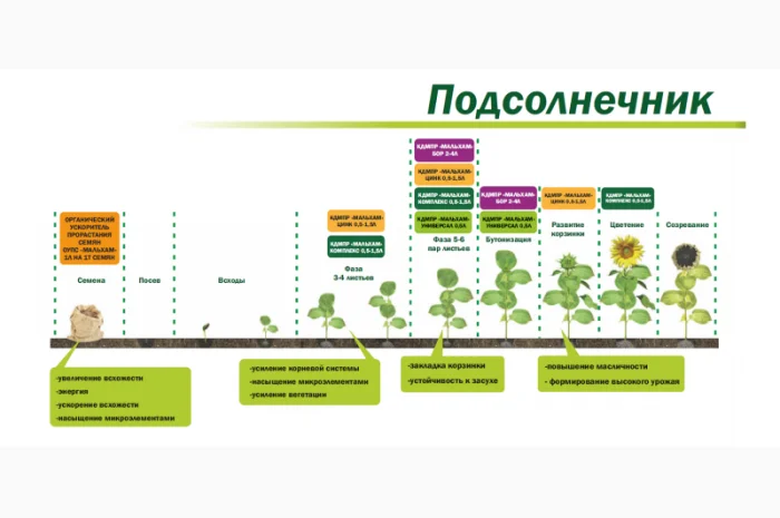 Органическое средство от сорняков «Глюмикрон»- фото № 5