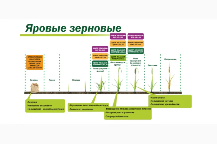 Ускоритель прорастания семян «Мальхам»- фото № 5
