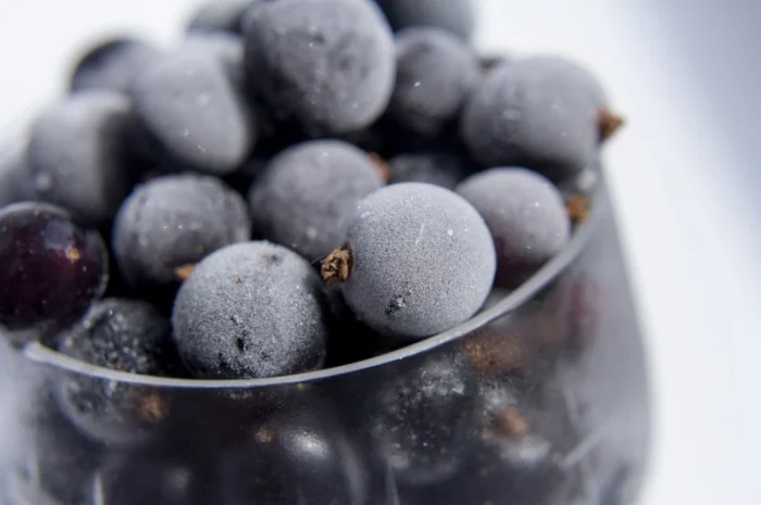 Садженці чорної смородини Однолітні 1й сорт Копаня- фото № 1