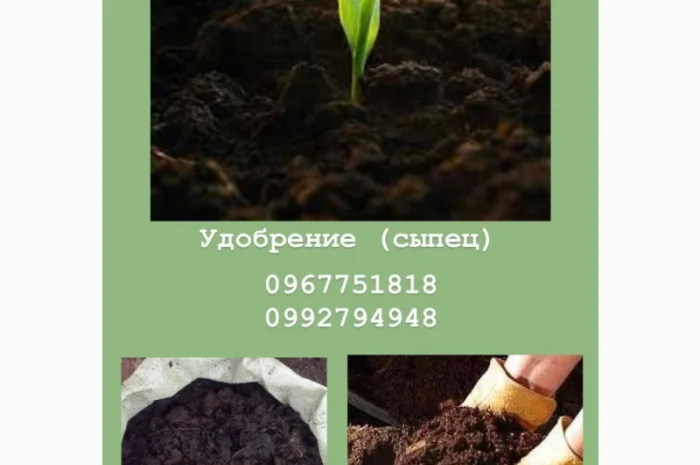 Сипець, перегній, чорнозем, компост у продажу- фото № 2
