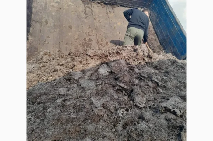 Сипець, перегній, чорнозем, компост у продажу- фото № 6