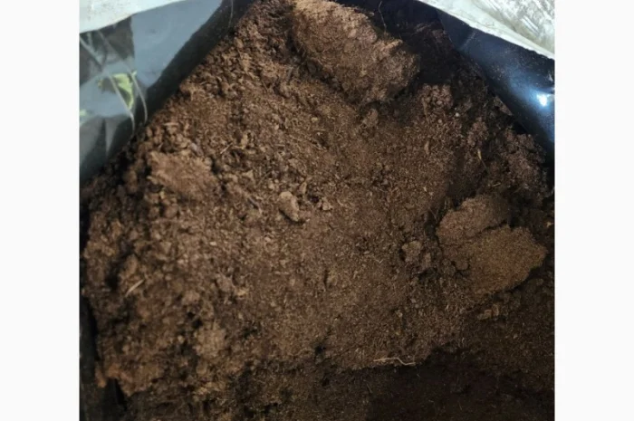 Верховий кислий торф 250 л, продаж- фото № 2