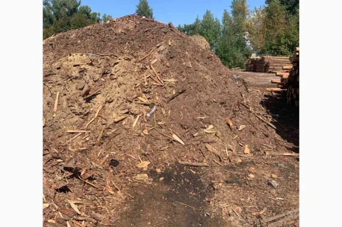 Продаємо соснові відходи- фото № 1