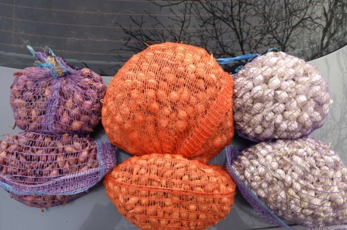 Продам сівок штутгарт- фото № 1