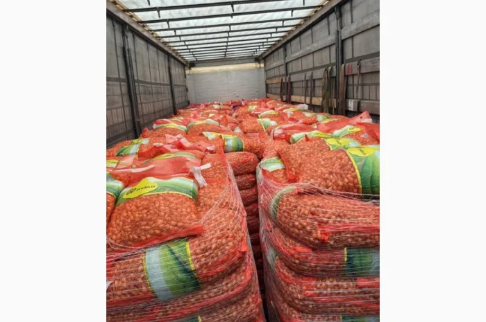 Сіянка оптом з Голандіі- фото № 1