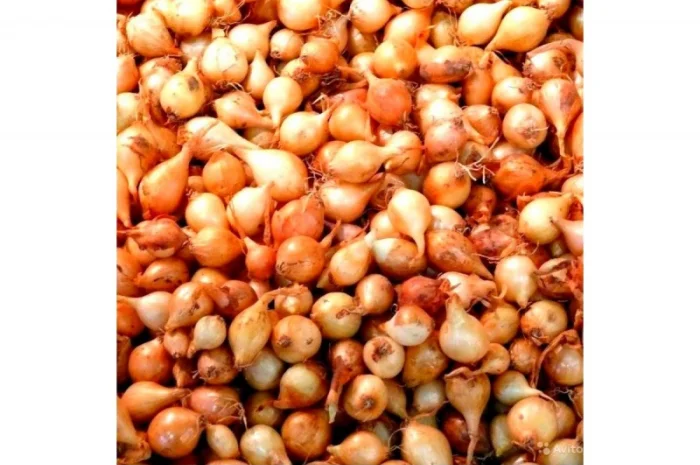 Продам СЕВОК арпаж- фото № 2