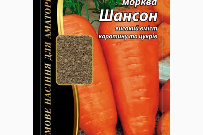 Морква "Шансон" (тип "Шантане") Агромаксі- фото № 1