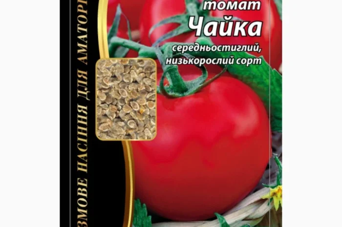 Семена томата 'Чайка' Агромаксі в продаже- фото № 1