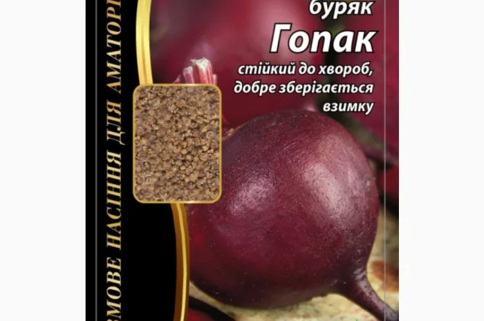 Буряк 'Гопак' Агромаксі – насіння для вашого врожаю- фото № 1