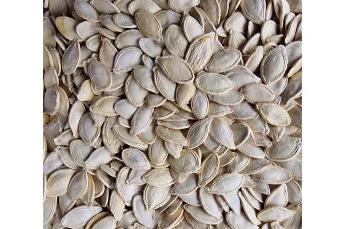 Продается семена тыквы оптом- фото № 1