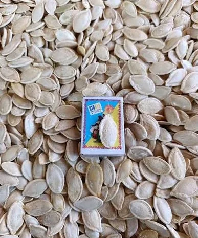 Сушене насіння гарбуза на продажу- фото № 1