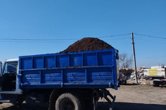 Продам сипець- фото № 1