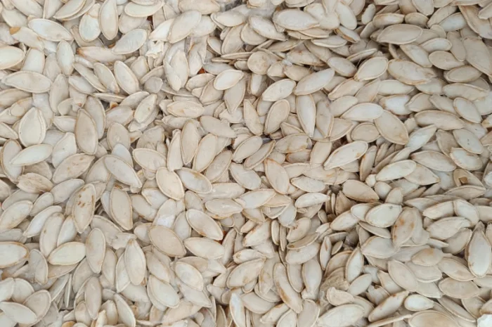 Продается семена тыквы сортов Турка, Данка-Полька и украинский многоплодный- фото № 5