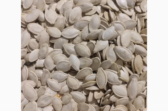 Свежие семена тыквы урожая 2025 года- фото № 1