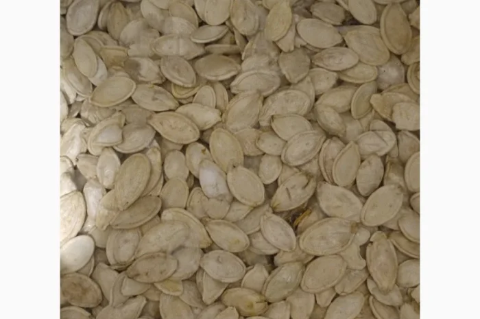 Свежие семена тыквы урожая 2025 года- фото № 3