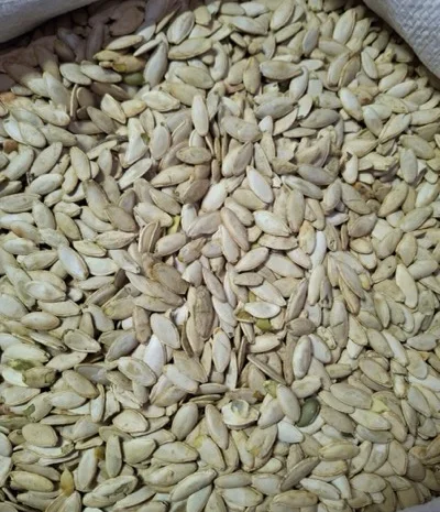 Продаж насіння гарбуза оптом та в роздріб- фото № 2