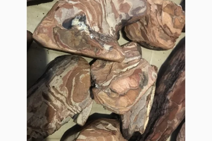 Блоки для орхідей- фото № 3