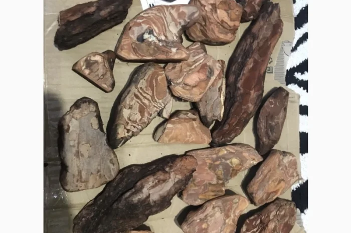 Блоки для орхідей- фото № 4